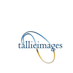 Logo Design by BabyBruja for tallieimages photography | Design: #1772853