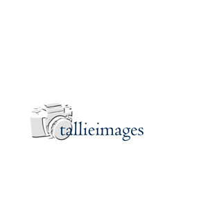 Logo Design by BabyBruja for tallieimages photography | Design: #1772856