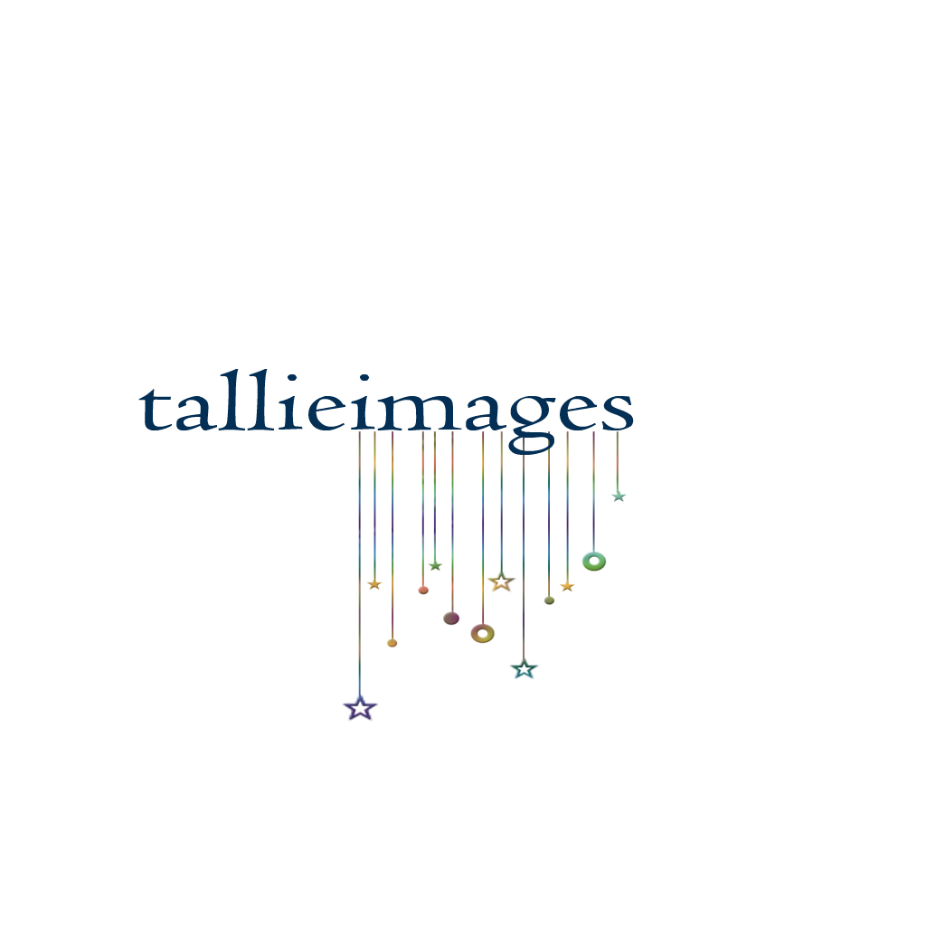 Design de Logo par BabyBruja pour tallieimages photography | Design #1772945