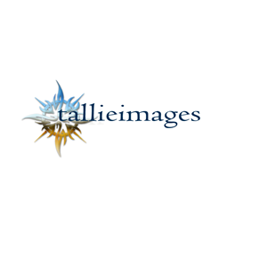 Logo Design by BabyBruja for tallieimages photography | Design: #1773301