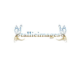 Logo Design by BabyBruja for tallieimages photography | Design: #1773307