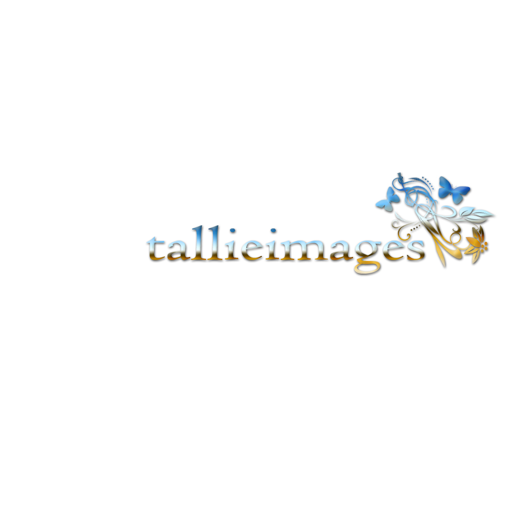 Logo Design by BabyBruja for tallieimages photography | Design #1773309