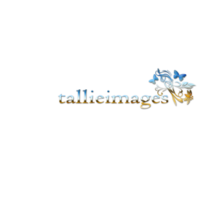 Logo Design by BabyBruja for tallieimages photography | Design: #1773309