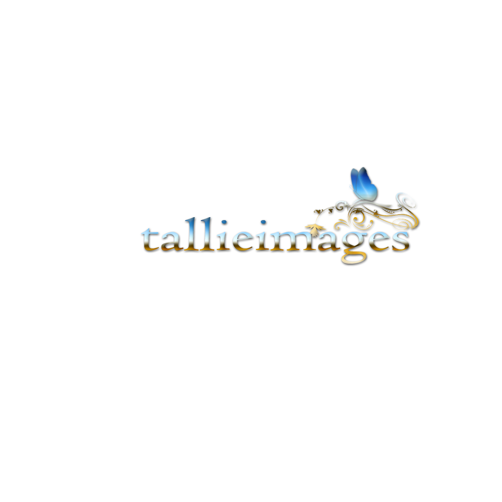 Logo Design by BabyBruja for tallieimages photography | Design #1773310