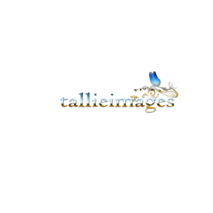 Logo Design by BabyBruja for tallieimages photography | Design: #1773310