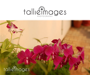 Logo Design by Naseeb for tallieimages photography | Design: #1747067
