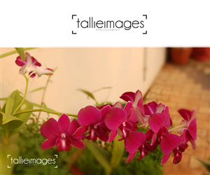Logo Design by Naseeb for tallieimages photography | Design: #1747078