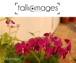 Logo Design by Naseeb for tallieimages photography | Design: #1747087