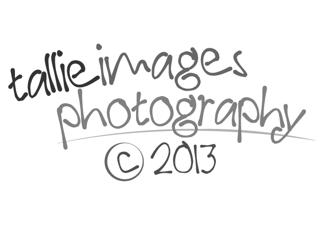 Logo Design by Debra for tallieimages photography | Design #1765904
