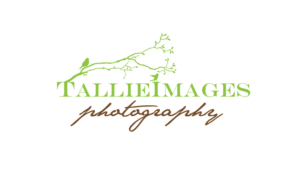 Logo Design by Hector Lopez for tallieimages photography | Design #1748134