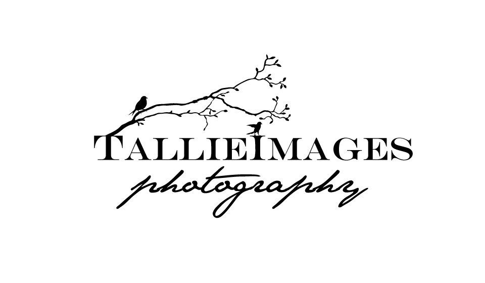 Logo Design by Hector Lopez for tallieimages photography | Design #1748141