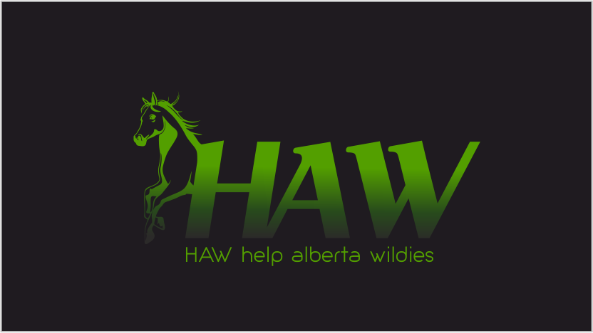 Logo Design by shivangi vermosys for this project | Design #6656809