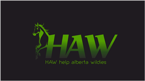 Logo Design by shivangi vermosys for this project | Design: #6656809