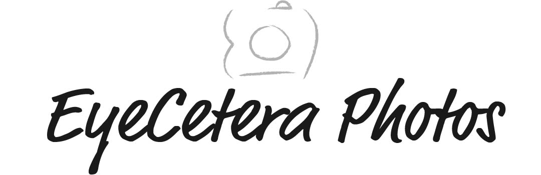 Logo-Design von Charlotta Helgesson für EyeCetera Photo | Design #6652663