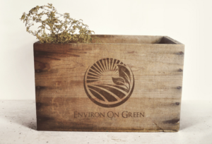 Logo Design by B.Tibéri for this project | Design: #6722868