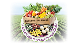 Logo Design by Shane@kromkagraphicarts for this project | Design #6659941