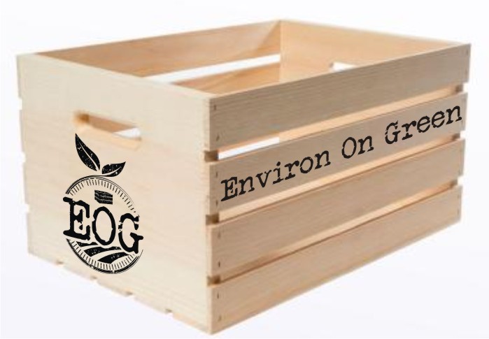 Logo Design by creative.bugs for this project | Design #6659412