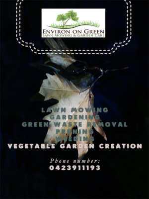 Flyer Design by medeeaiancu