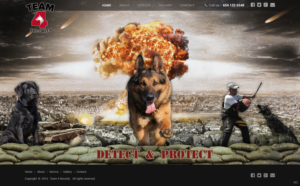 Web Design by pb for this project | Design: #6700002