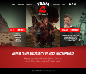 Web Design by Teemu Hakala for this project | Design: #6688176