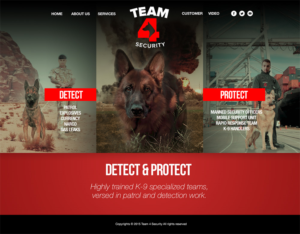 Web Design by Teemu Hakala for this project | Design: #6712473