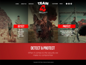 Web Design by Teemu Hakala