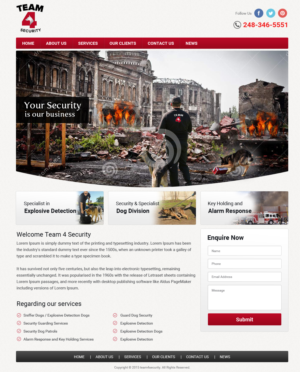 Web Design by Brajpal Freelance Website Designer