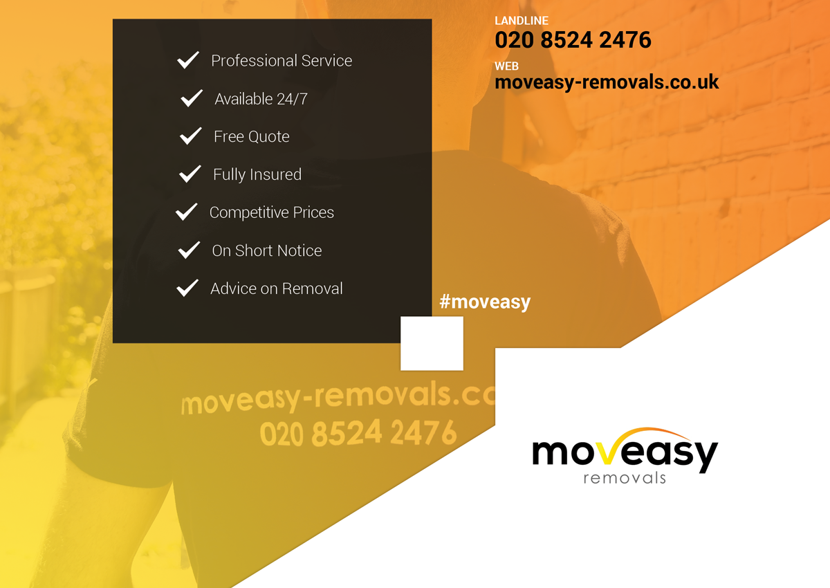 Design de Flyer par Ritesh Singh pour ce projet | Design #6664088