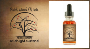 Logo Design by creative.bugs for Evanesce vapes | Design: #6696478