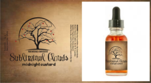 Logo Design by creative.bugs for Evanesce vapes | Design #6712353