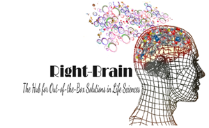 Logo Design by BumperSticker22