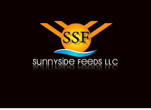Logo Design by direnege