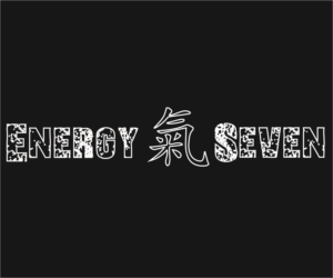 Logo Design by Aura Designs