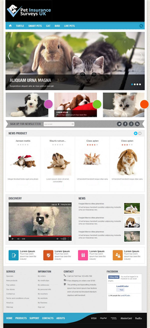 Web Design by Rosc