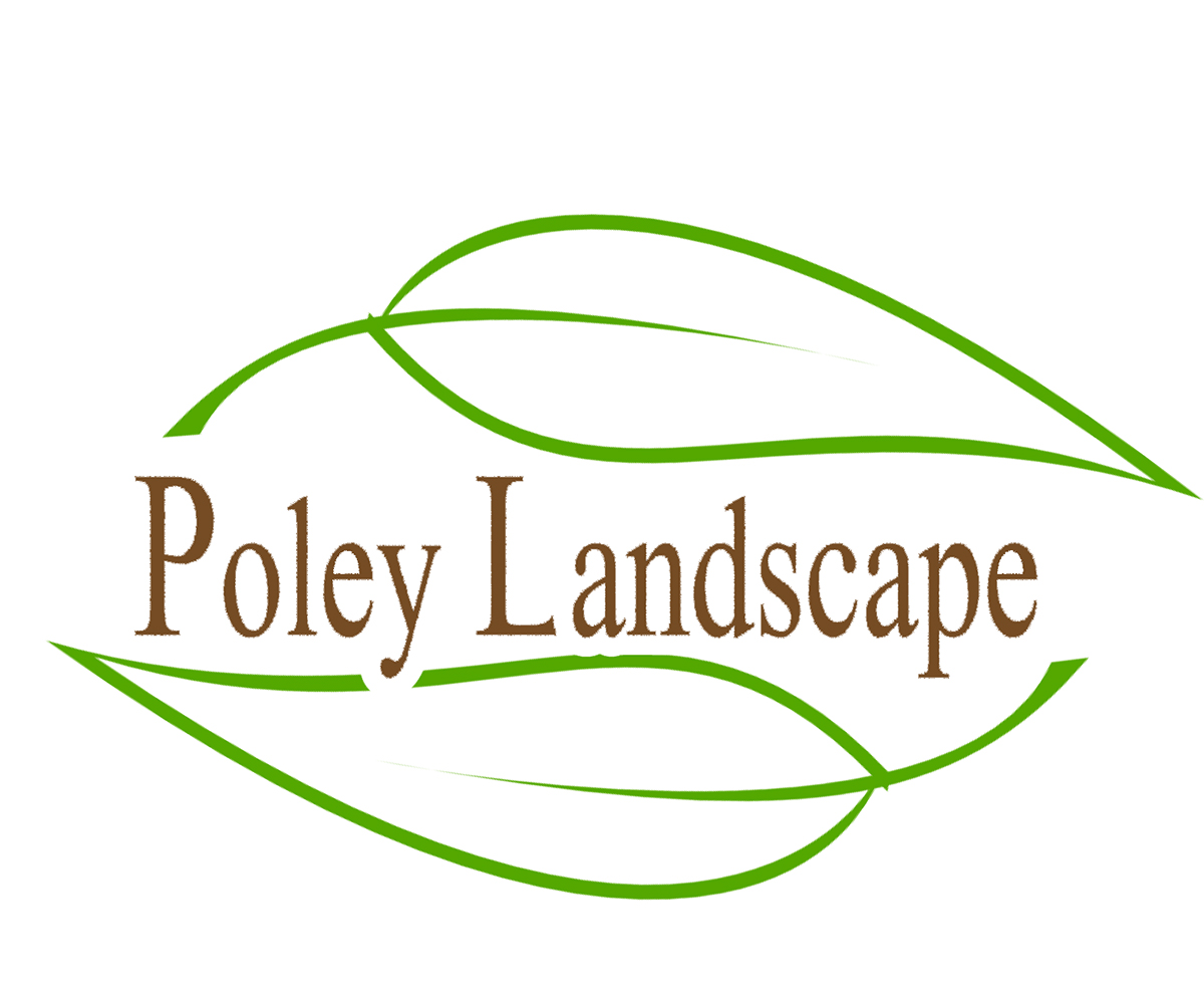 Logo Design by SGraybeal for this project | Design #1765780