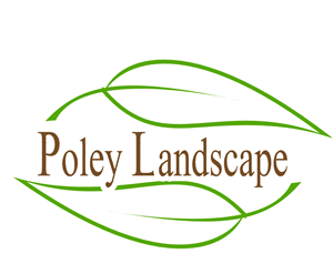 Logo Design by SGraybeal