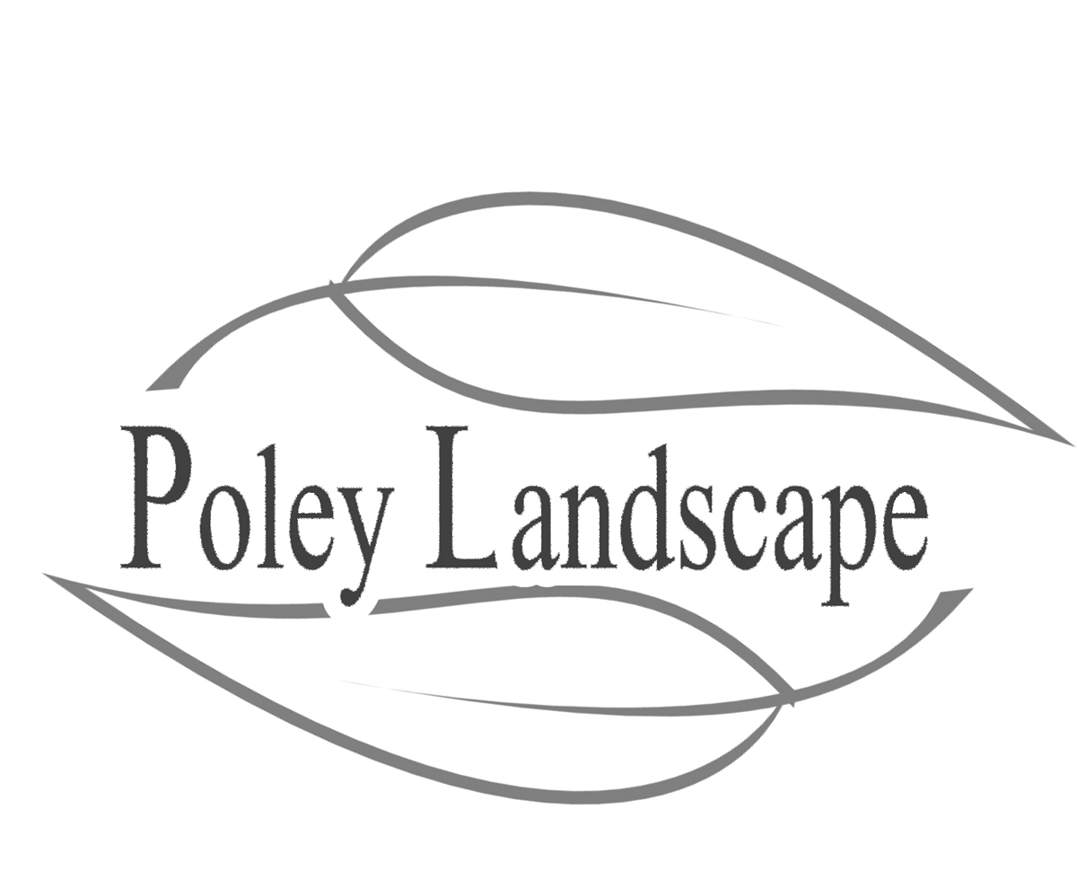 Logo Design by SGraybeal for this project | Design #1765785