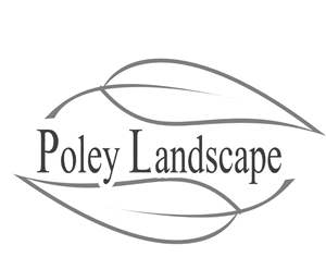 Logo Design by SGraybeal for this project | Design: #1765785