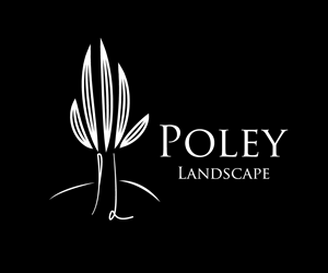 Logo Design by YNFYNYTY for this project | Design: #1751981