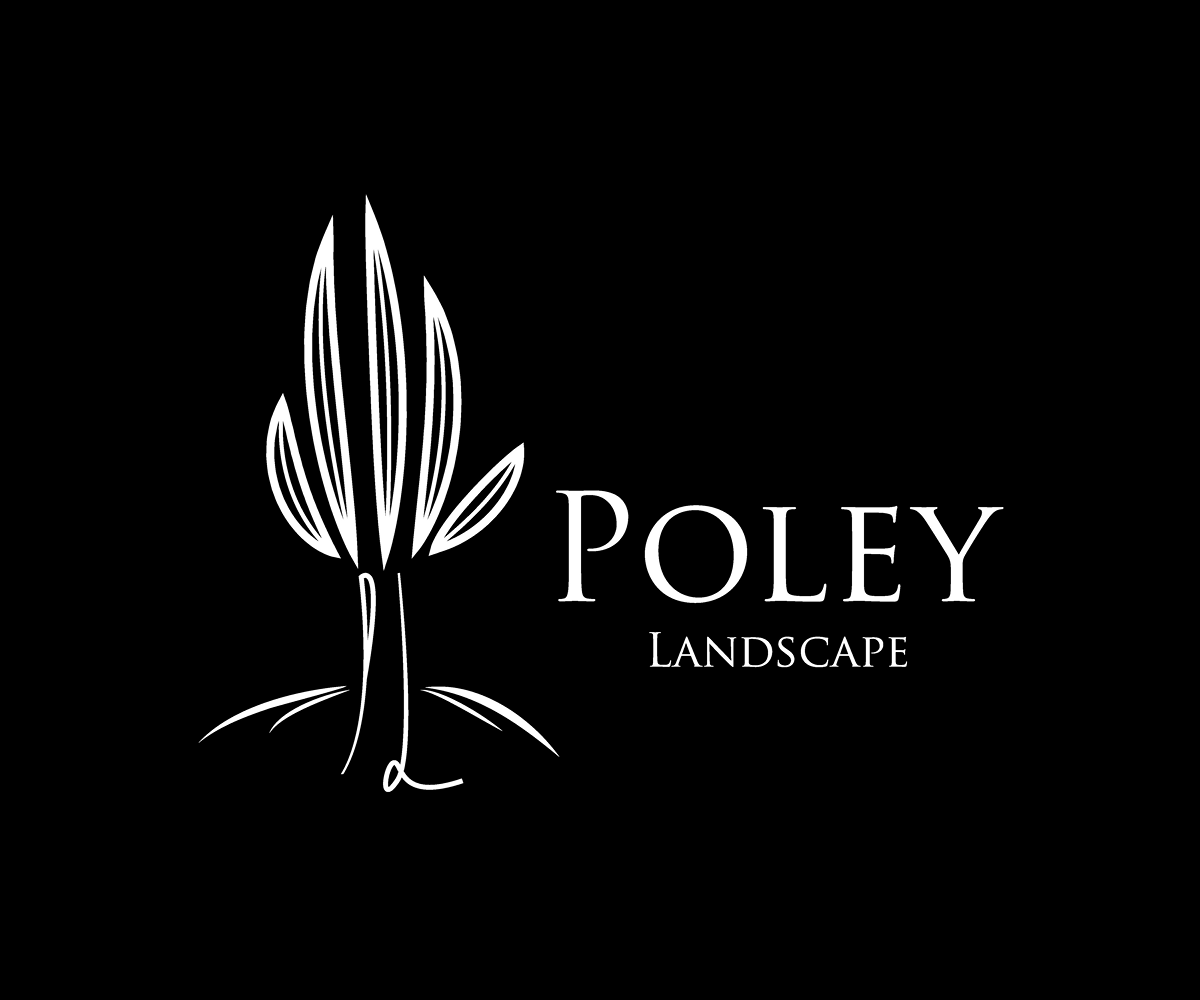 Logo Design by YNFYNYTY for this project | Design #1751987