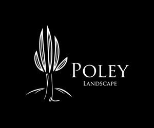 Logo Design by YNFYNYTY for this project | Design: #1751987