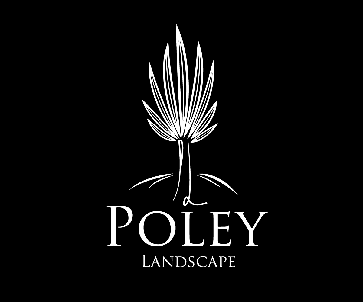 Logo Design by YNFYNYTY for this project | Design #1751993