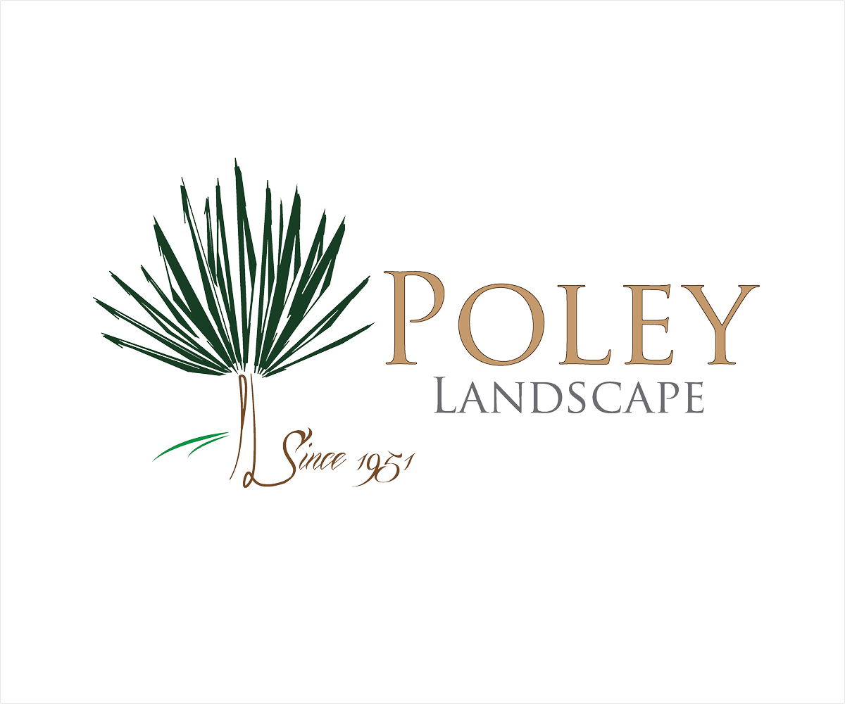 Logo Design by YNFYNYTY for this project | Design #1782032