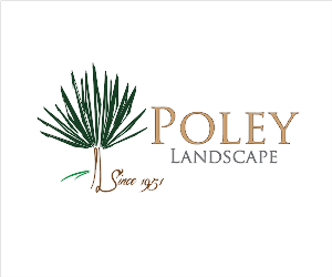 Logo Design by YNFYNYTY for this project | Design: #1782032