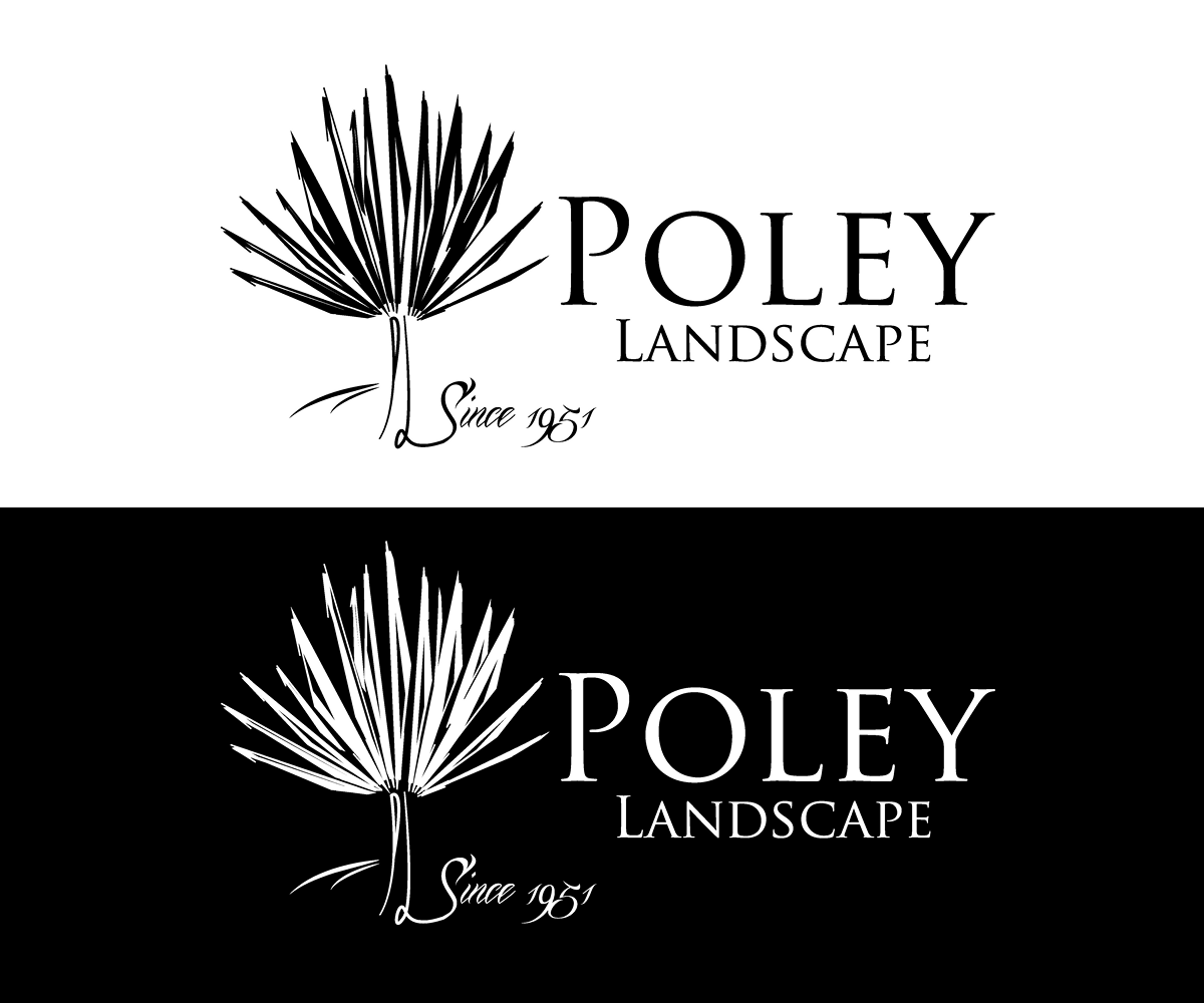 Logo Design by YNFYNYTY for this project | Design #1782035