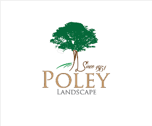 Logo Design by YNFYNYTY for this project | Design: #1782039