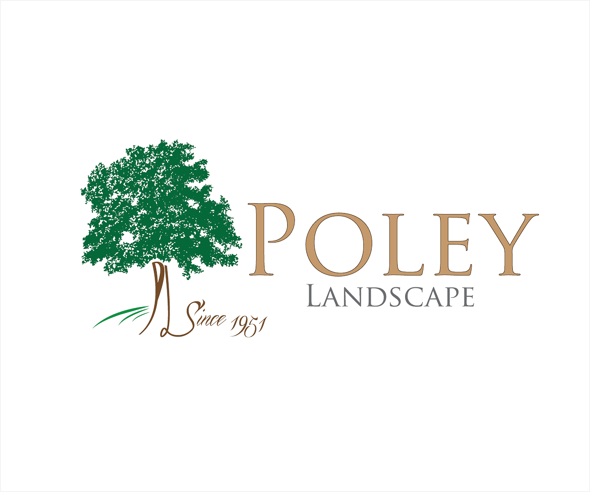 Design de Logo par YNFYNYTY pour ce projet | Design #1782043