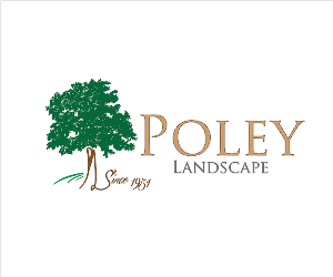 Logo Design by YNFYNYTY for this project | Design #1782043
