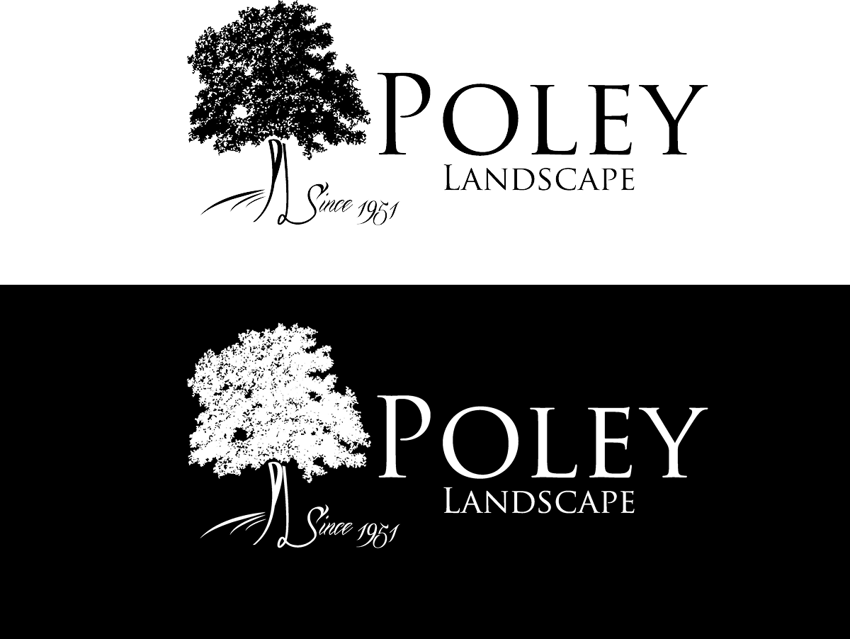 Logo Design by YNFYNYTY for this project | Design #1782045