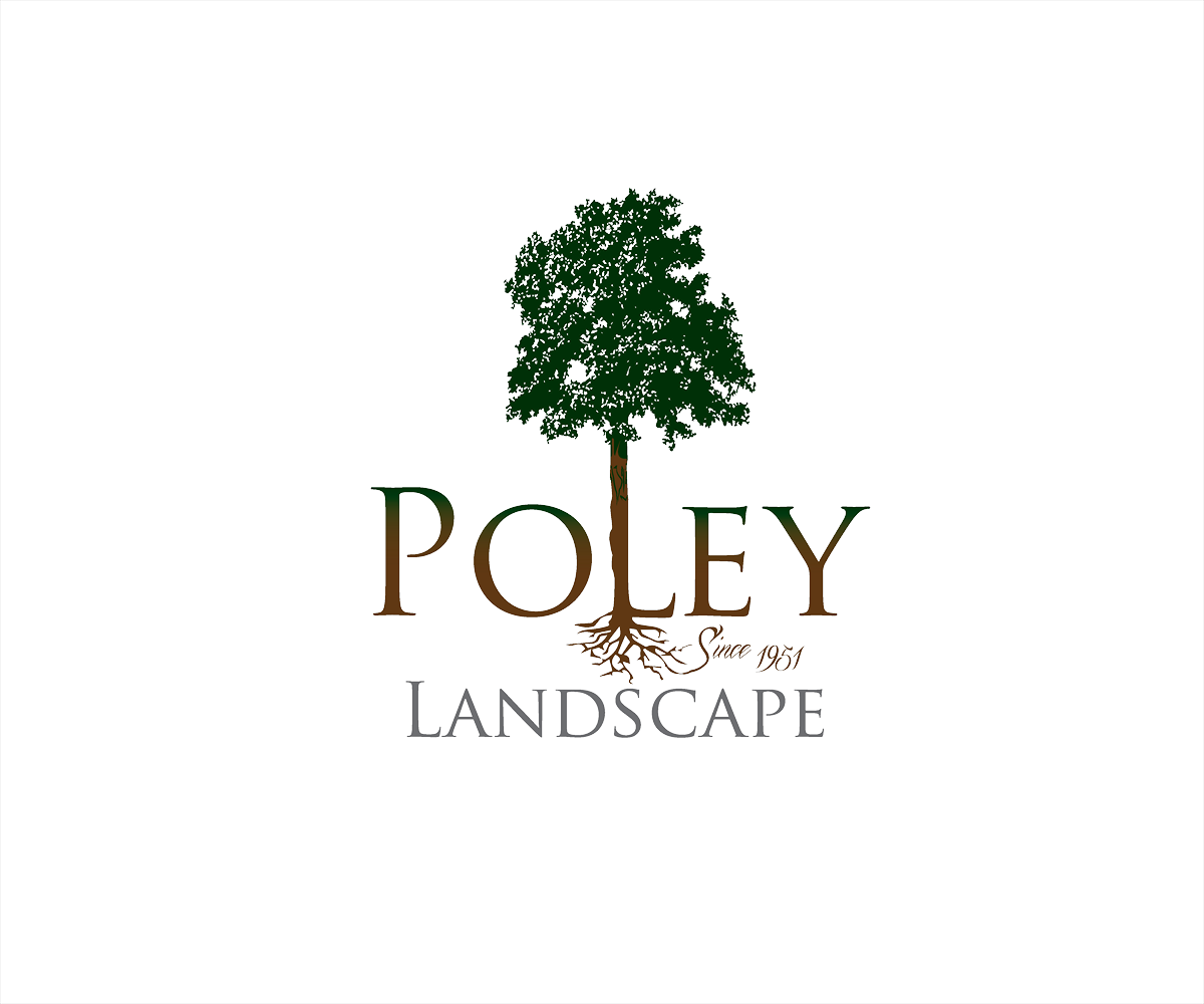 Logo Design by YNFYNYTY for this project | Design #1791042